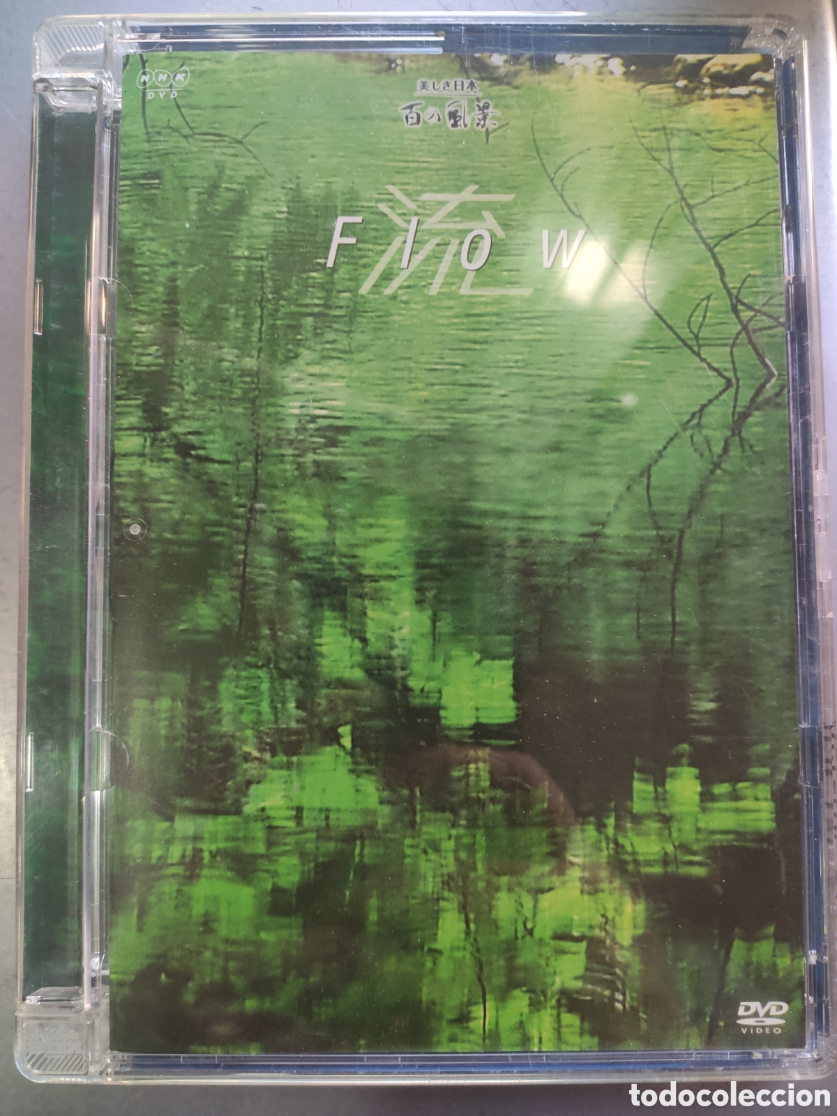 Music Videos and DVDs: DVD MUSICA AMBIENTAL FLOW. EDICION JAPONESA. RARO