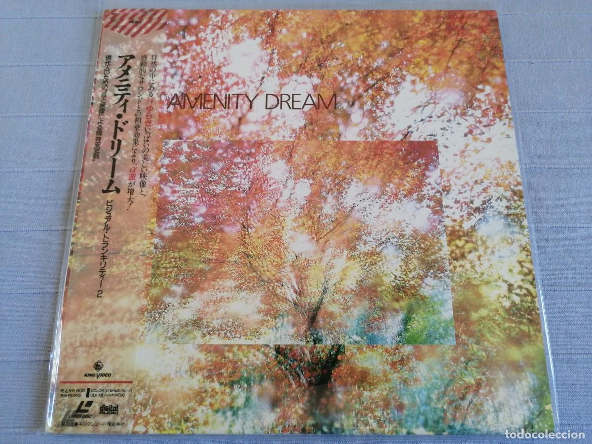 V&iacute;deos y DVD musicales: Amenity Dream - LaserDisc - Foto 1