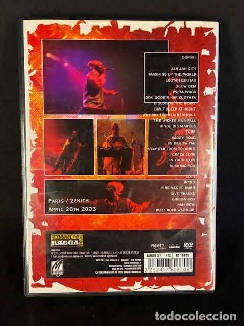 V&iacute;deos y DVD musicales: Capleton &ndash; Paris Burnin - DVD - Mediacom - Foto 2