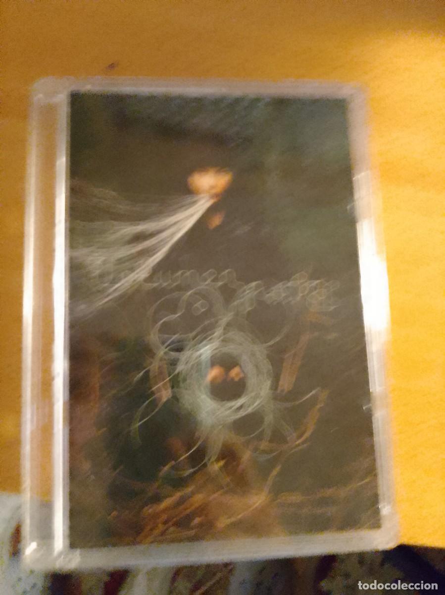 V&iacute;deos y DVD musicales: Bjork- Volumen Dvd ( electronica, pop, Islandia)