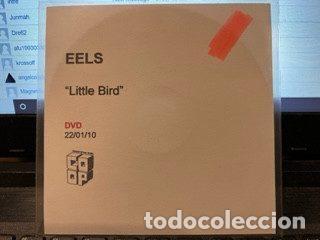 Musikvideos und DVDs: Eels &ndash; Little Bird (DVDr, Cooperative Music none)