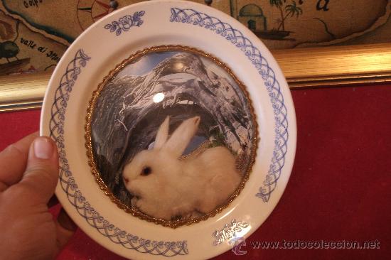 Vintage: ANTIGUO PLATO VINTAGE DE PORCELANA CON CRISTAL, FOTO Y CONEJO DE PELUCHE DENTRO-IMPOSIBLE MAS KITCH.