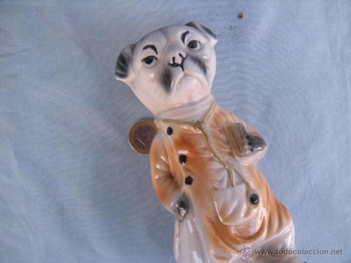 Vintage: PERRO M&Eacute;DICO DOCTOR