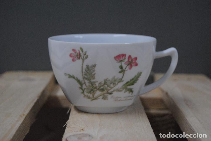Vintage: TAZON DE PORCELANA SELTMANN WEIDEN GERMANY