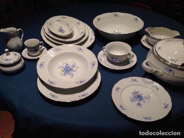 Vajilla Antigua Blanca Con Flores Azules Y Ribe Kaufen Porzellan