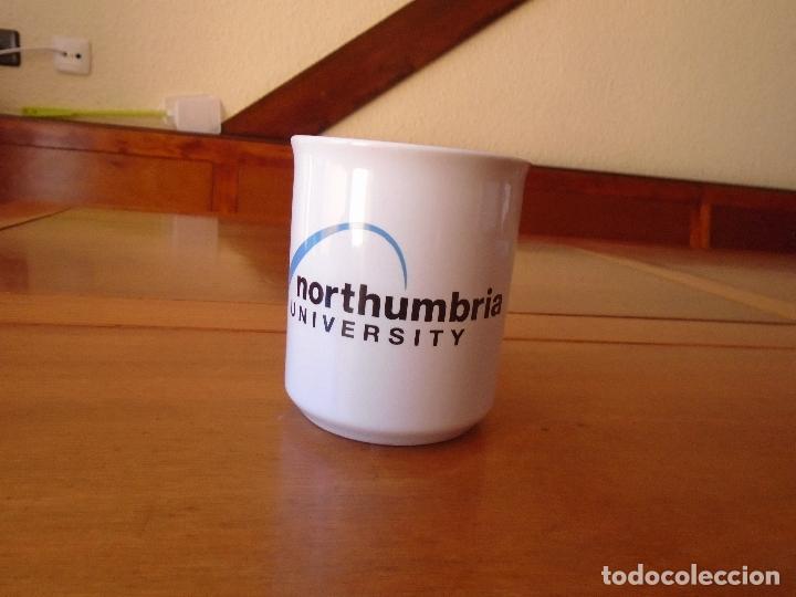 Vintage: TAZA NORTHUMBRIA UNIVESITY