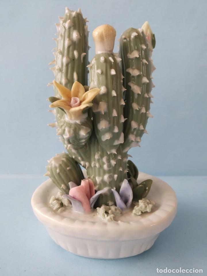 Vintage: CACTUS PORCELANA