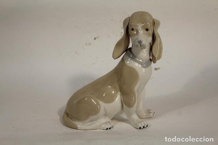 Vintage: perro basset en porcelana rex