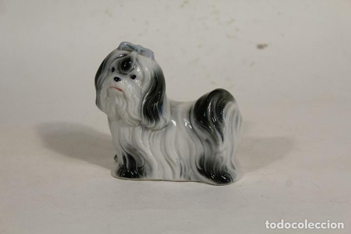 Vintage: perro yorkshire en ceramica