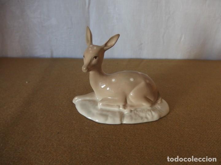 Vintage: BAMBI PORCELANA SAMBO