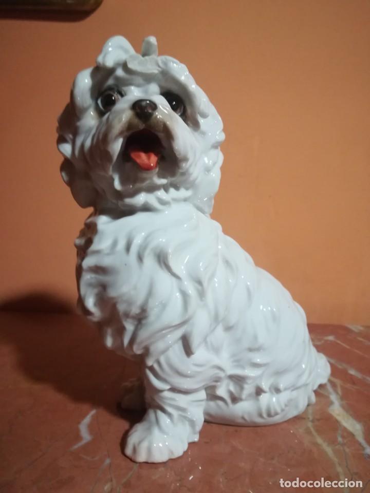 Vintage: figura de porcelana algora perro