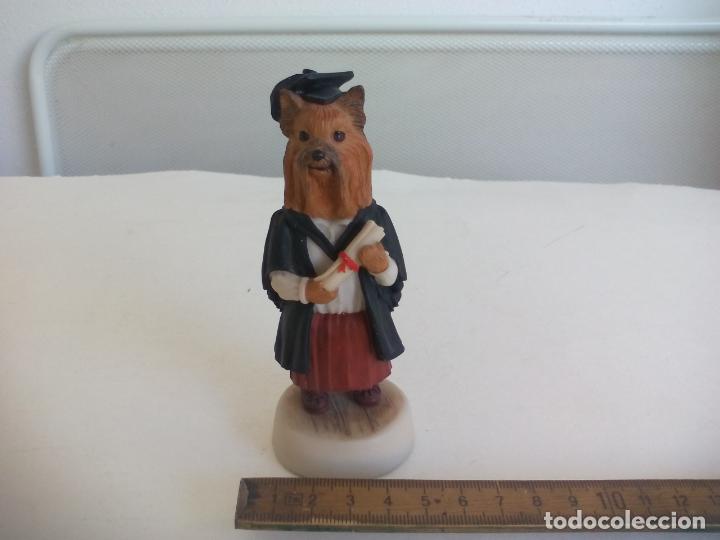 Vintage: FIGURA PERRO YORKSHIRE TERRIER GRADUATE FEMALE COUNTRY COMPANIONS ROBERT HARROP DESINGNS CC72