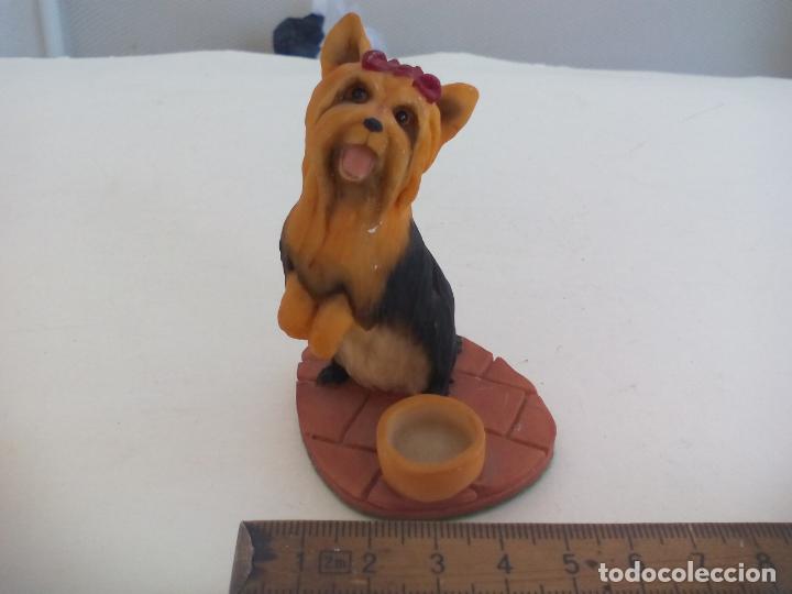Vintage: FIGURA PERRO YORKSHIRE TERRIER. MASTERCRAFT AYNSLEY. ENGLAND. HAND PAINTED. DOG