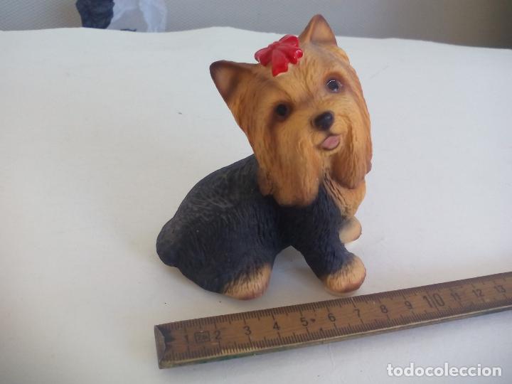 Vintage: FIGURA PERRO YORKSHIRE TERRIER. D152A. DOG