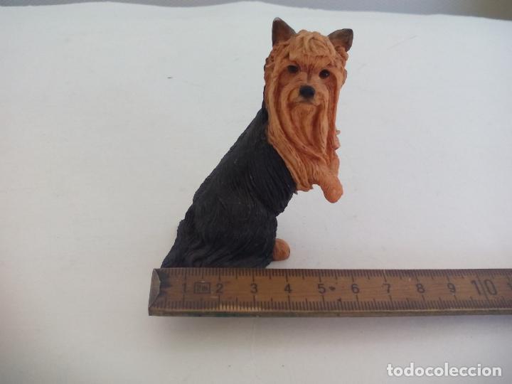 Vintage: FIGURA PERRO YORKSHIRE TERRIER. DOG
