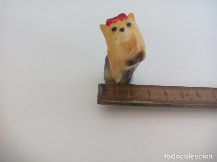 Vintage: FIGURA PERRO YORKSHIRE TERRIER. DOG