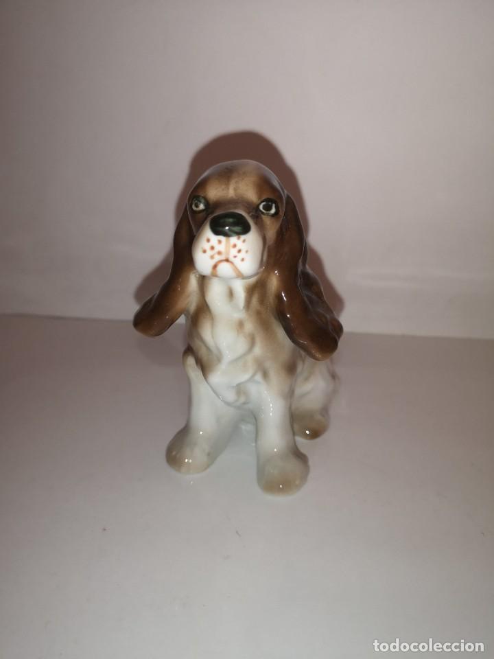 Vintage: Perro de porcelana firmado
