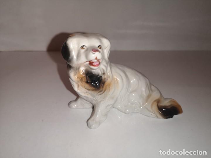 Vintage: Perro de porcelana - Foto 1
