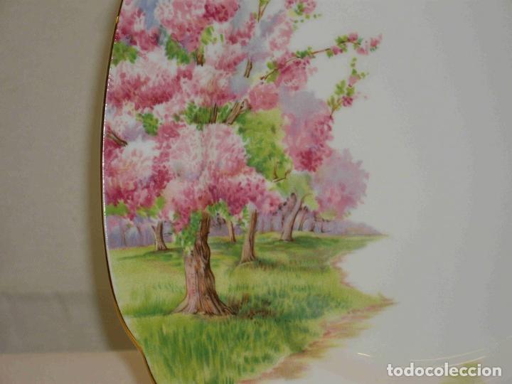 Vintage: PLATO BLOSSOMTIME 7 - Foto 2