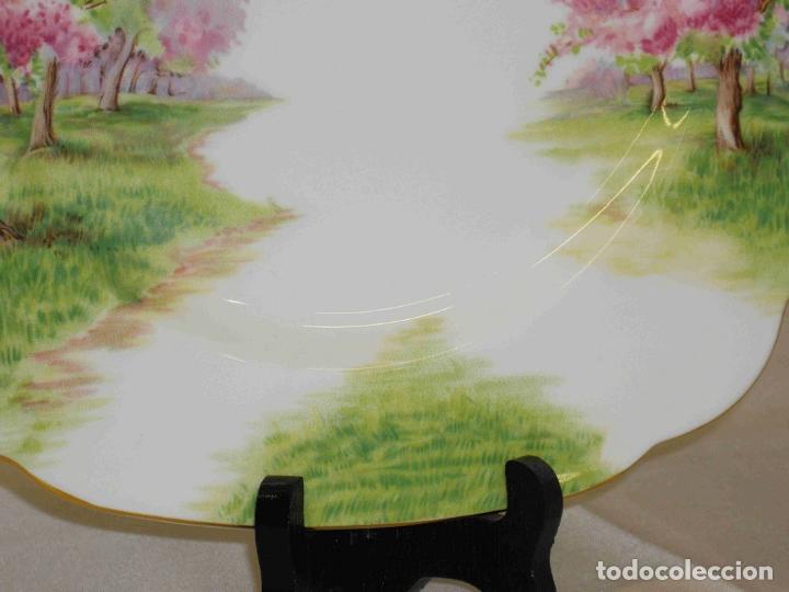 Vintage: PLATO BLOSSOMTIME 7 - Foto 3