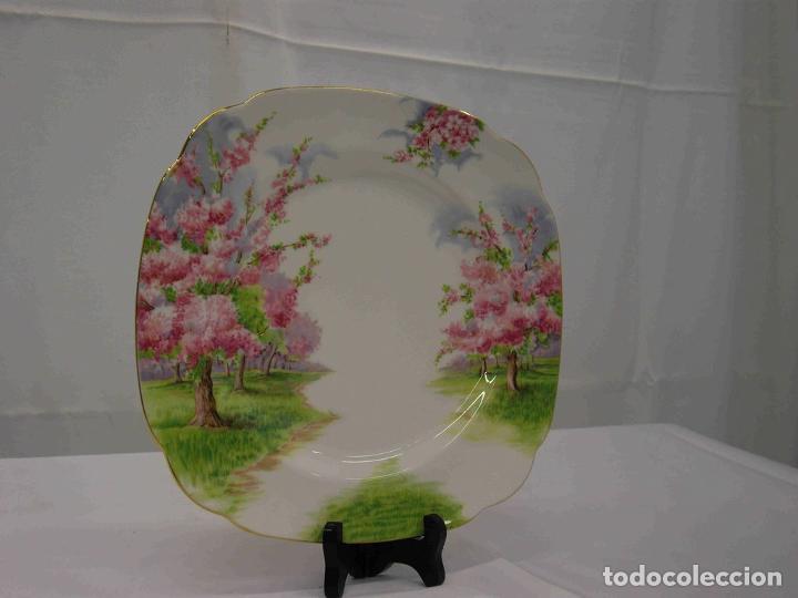 Vintage: PLATO BLOSSOMTIME 7 - Foto 1
