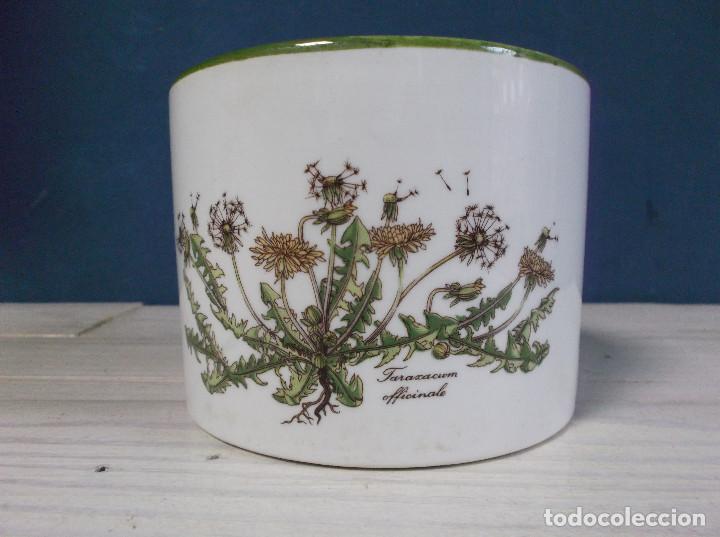 Vintage: Tarro de porcelana de San Claudio - Serie Bot&aacute;nica - Sin tapa