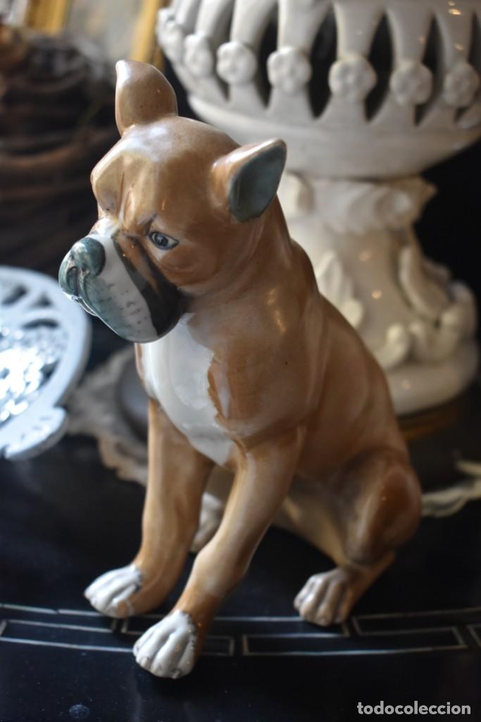 Vintage: PERRO B&Oacute;XER CER&Aacute;MICA HISPANIA