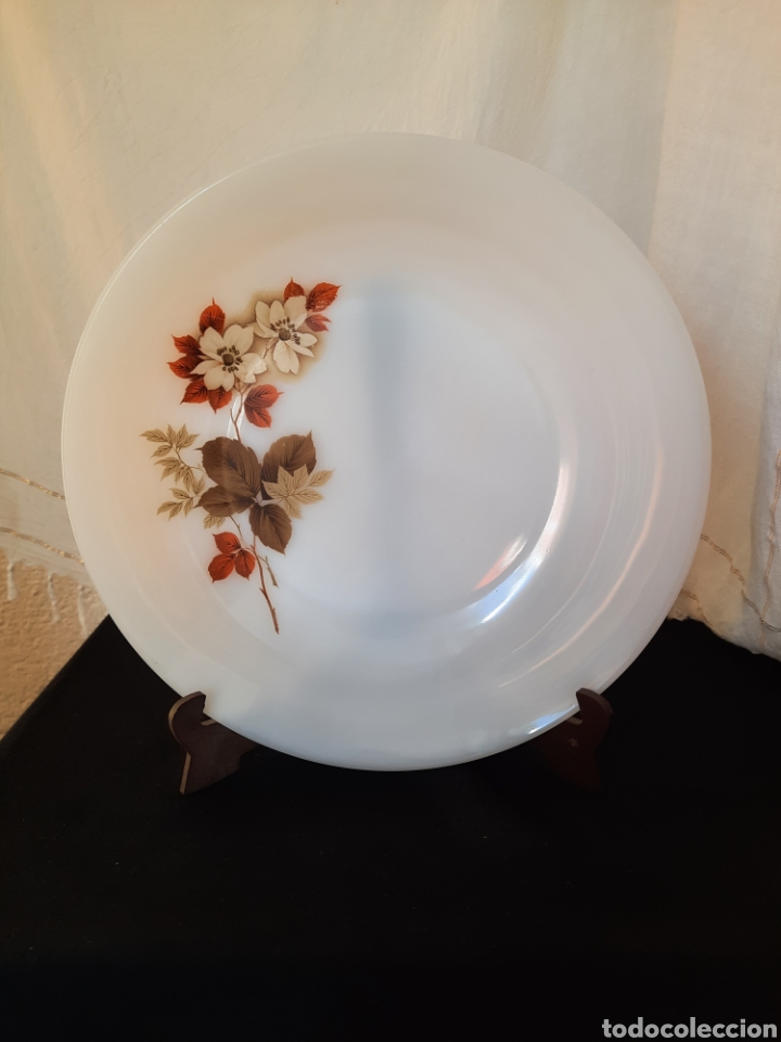 Vintage: Plato ensaladera frutero opalina.