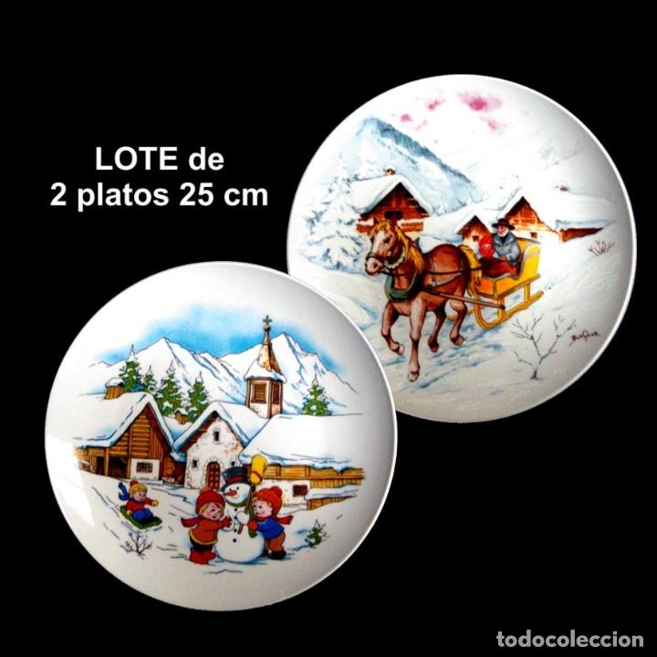 Vintage: Plato porcelana 25 cm - Motivo INVERNAL (lote 2 platos)