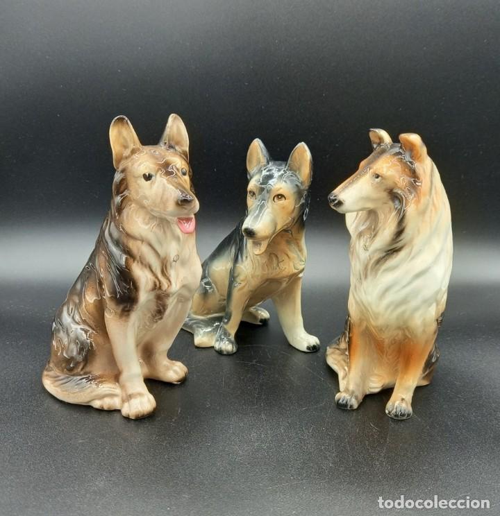 Vintage: Lote de tres perros de porcelana
