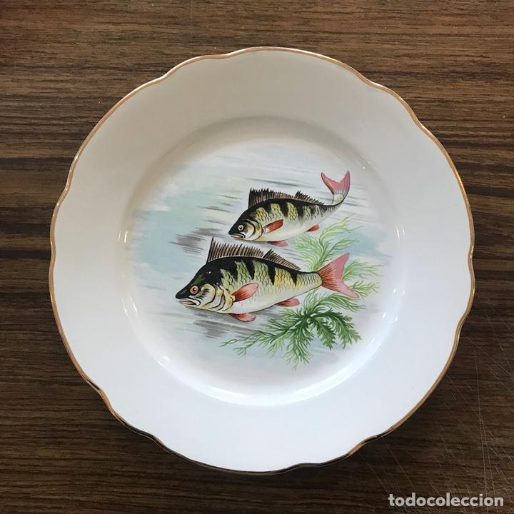 Vintage: Platos de porcelana Saguerremines decorados con peces