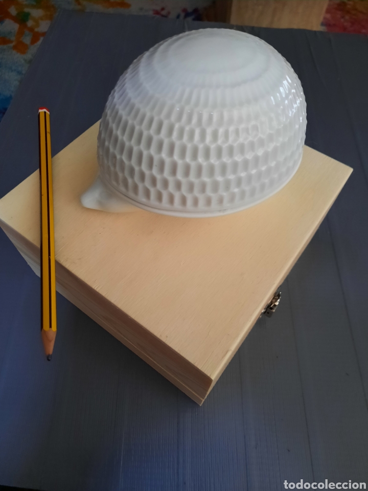 Vintage: Caja de porcelana con forma de erizo.