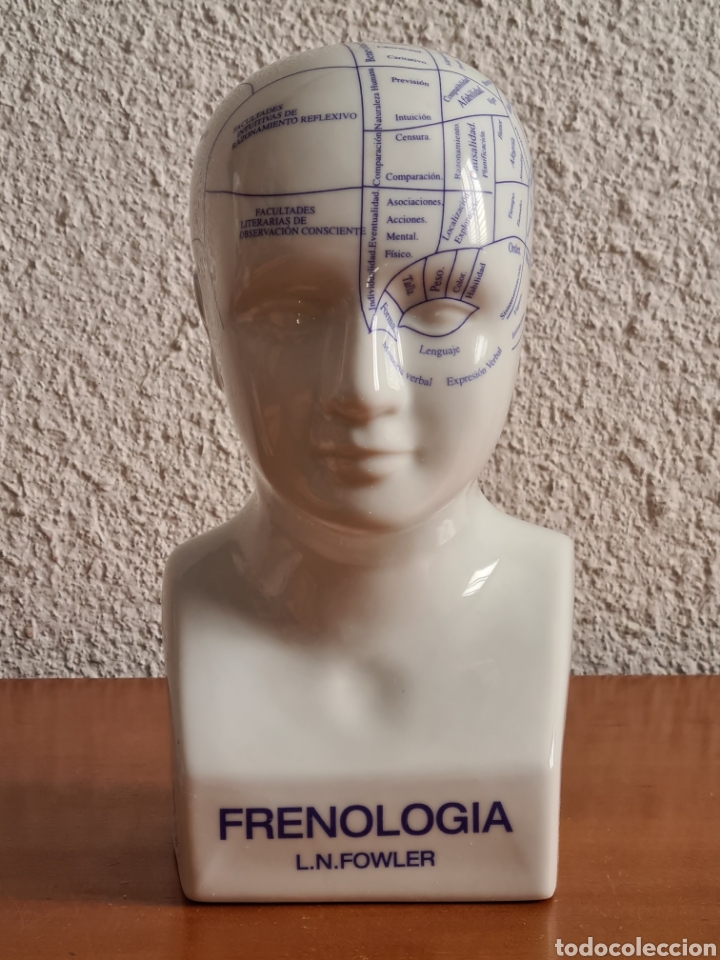 Vintage: Busto Cabeza Frenologia L. N. Fowler - Decoraci&oacute;n Psicolog&iacute;a - Menfazona Farmacia Lab. Menarini