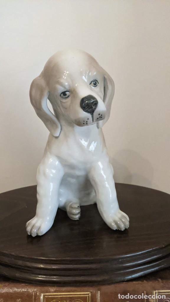 Vintage: PERRO PORCELANA
