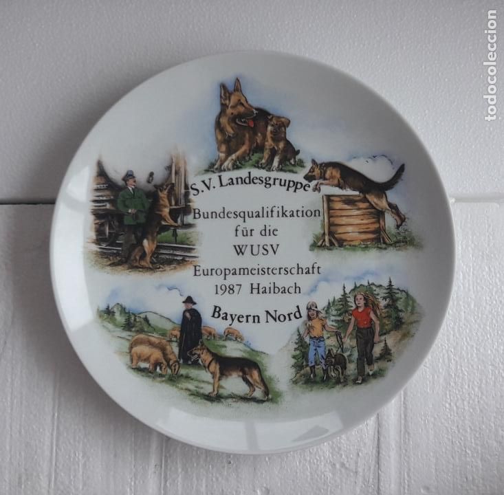 Vintage: PLATO CLUB GRUPO TRABAJO ADIESTRAMIENTO PERRO PASTOR ALEMAN - 26CM DIAMETRO PORCELANA ALEMANA