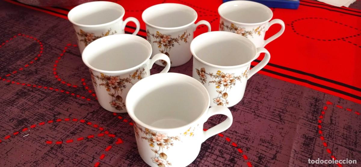 Vintage: LOTE 6 TAZAS IMPERIAL BAVARIA