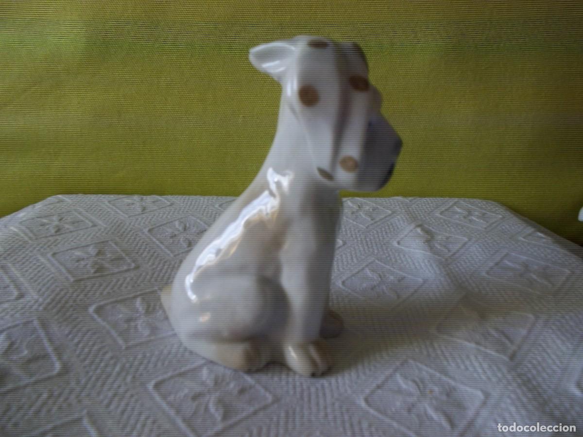 Vintage: PERRITO DE PORCELANA SAMBO - Foto 9