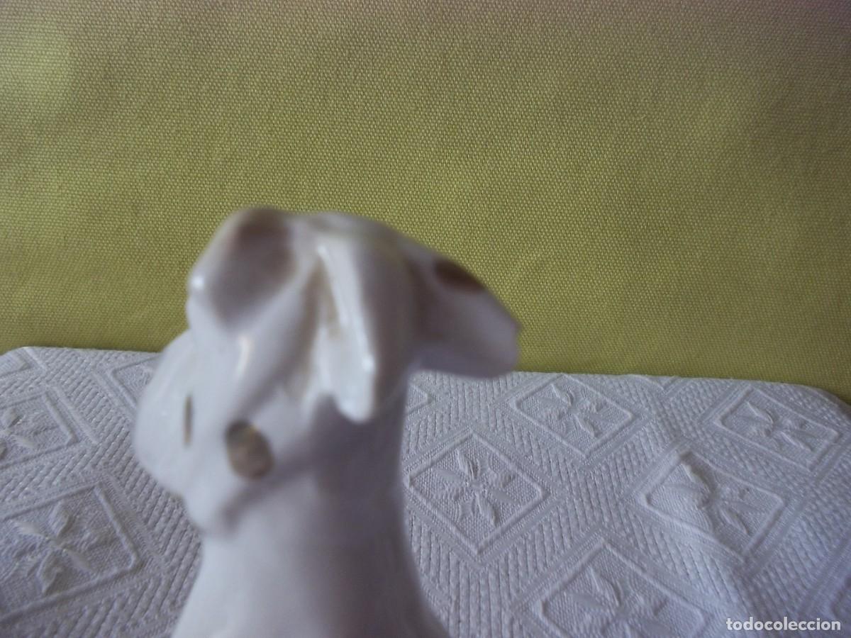 Vintage: PERRITO DE PORCELANA SAMBO - Foto 12