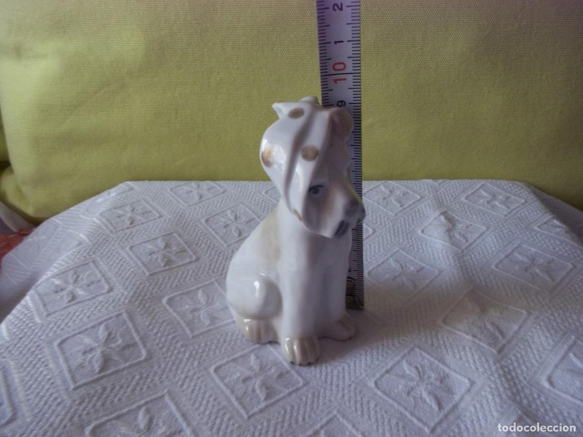 Vintage: PERRITO DE PORCELANA SAMBO - Foto 13