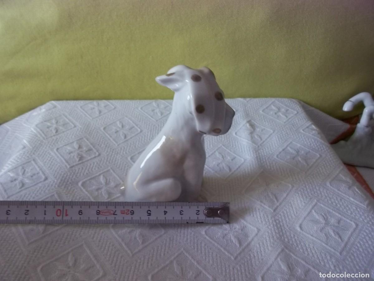 Vintage: PERRITO DE PORCELANA SAMBO - Foto 14