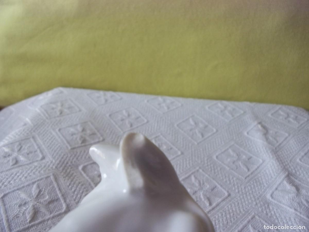 Vintage: PERRITO DE PORCELANA SAMBO - Foto 15