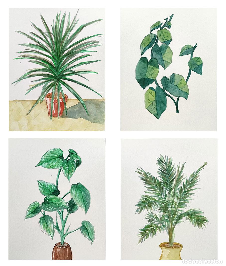 Vintage: 4 Dibujos, 4 Acuarelas y 2 laminas. Motivos vegetales. Flores, Palmeras, hojas, rosas