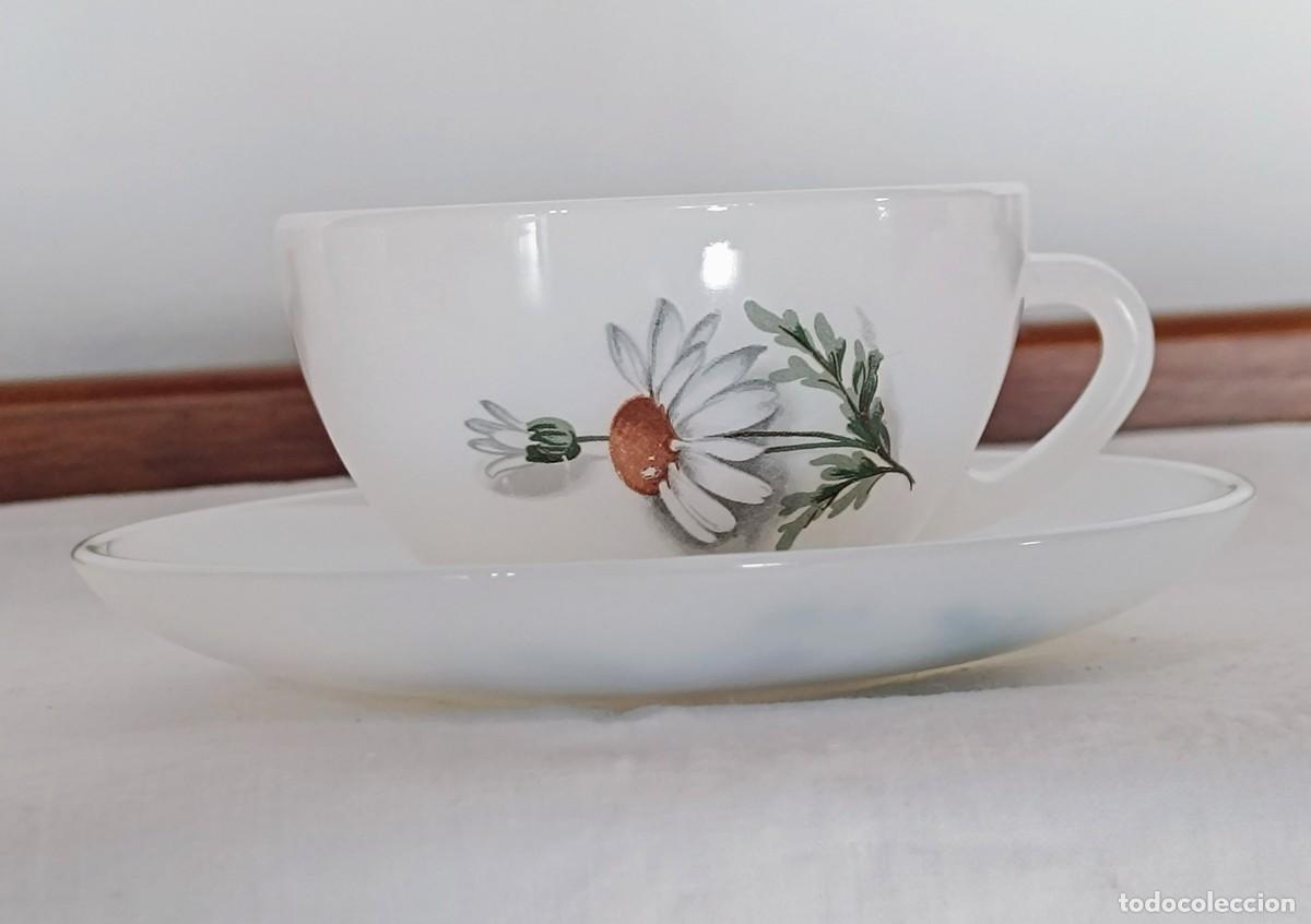 Vintage: Tazas de caf&eacute; arcopal - Foto 1