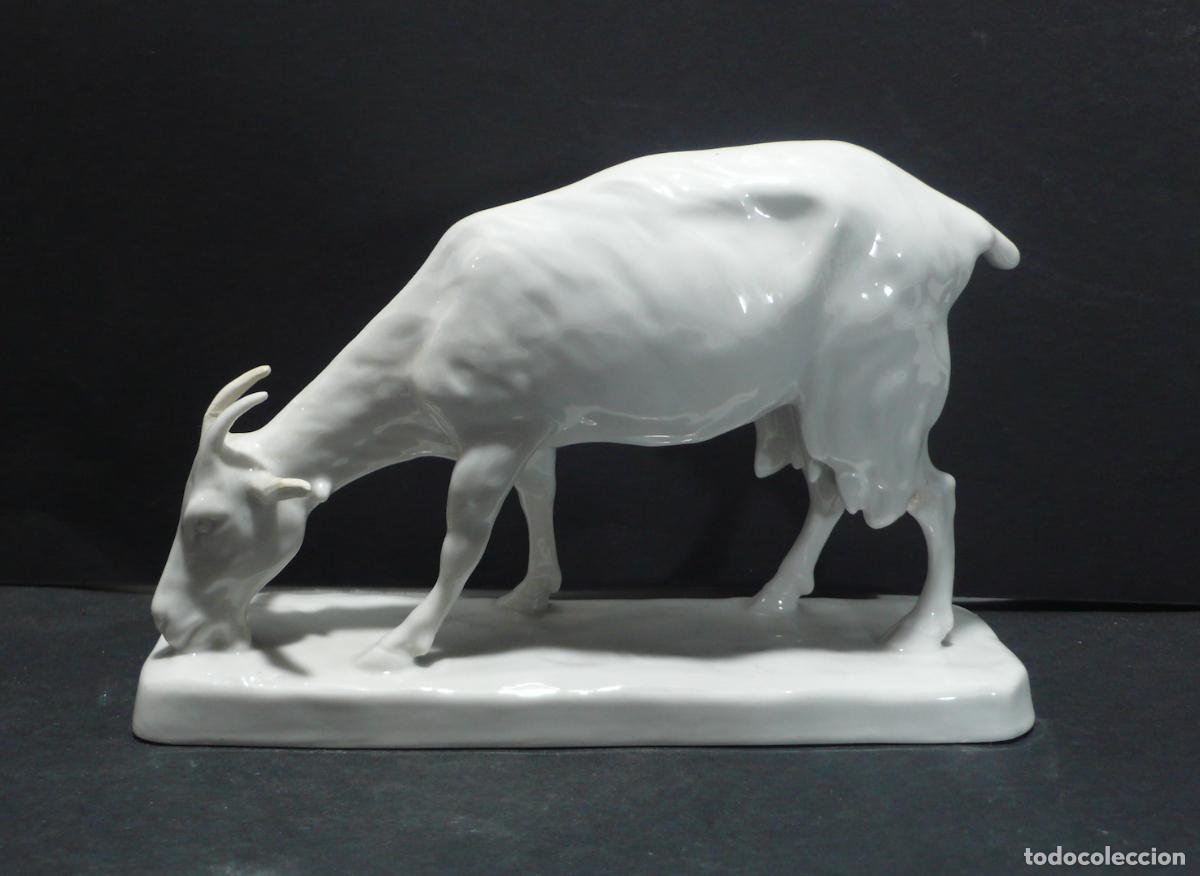 Vintage: CABRA EN PORCELANA BLANCO - Foto 1