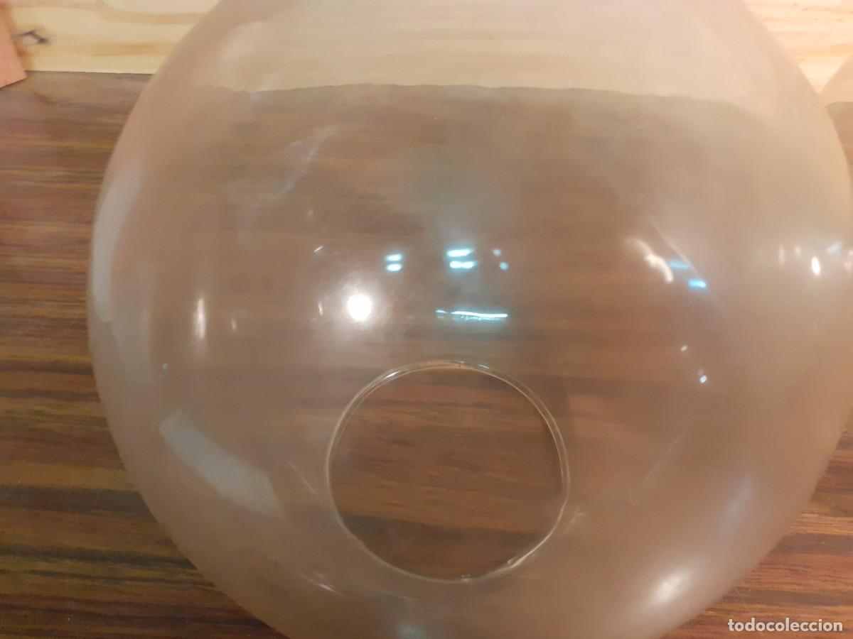 Vintage: Tulipa globos transparentes 16 cms - Foto 3