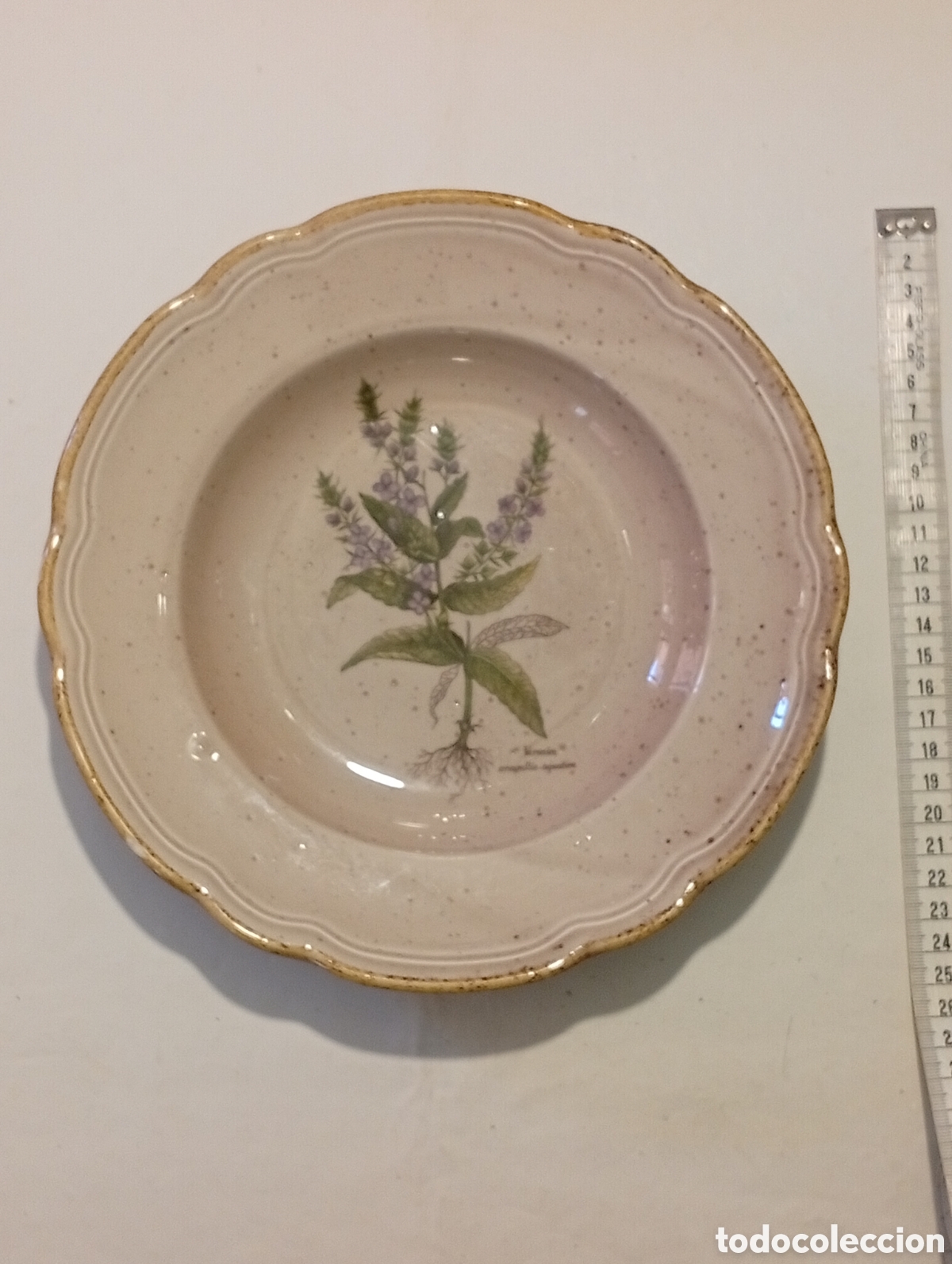 Vintage: Plato italiano Primula