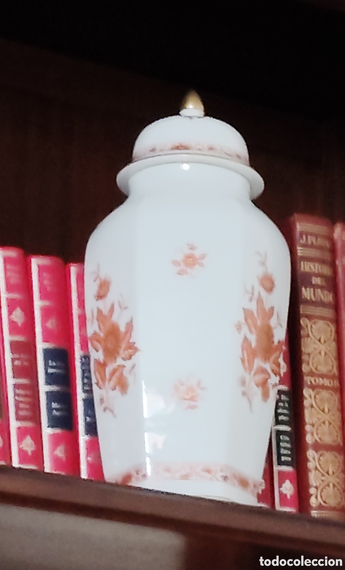 Vintage: Antiguo Tibor de porcelana