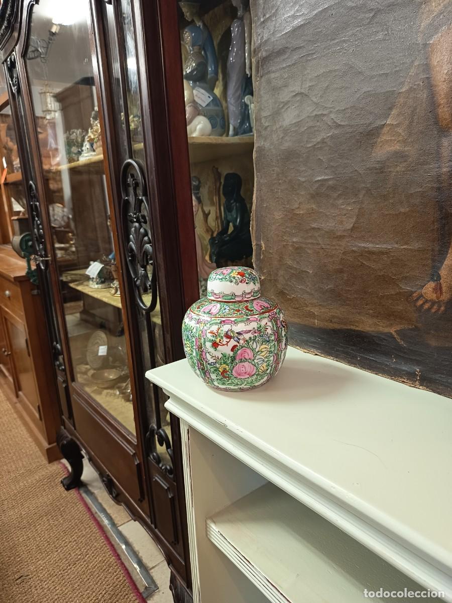 Vintage: Tibor Macao porcelana