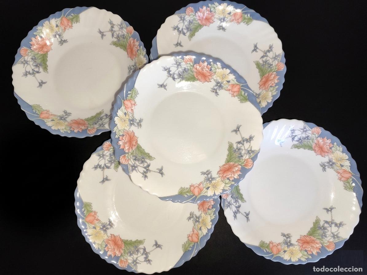 Vintage: ARCOPAL FLORINE - Lote 5 Platos Hondos.