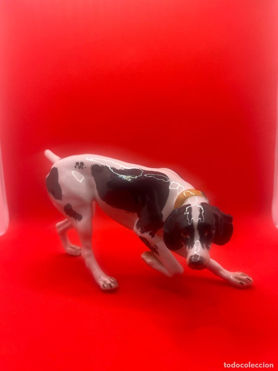 Vintage: Figura Perro Pointer Ingl&eacute;s de Caza. Porcelana Fina Italiana Vintage. A&ntilde;os 60/70